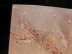 Polished Large Copper and Black Rutilated Quartz Display Crystal x 1 From Madagascar