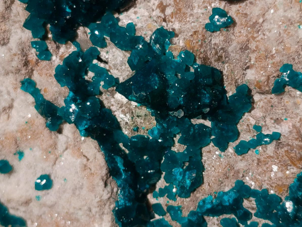 Natural XXL Dioptase Specimen on a Dolomite Matrix x 1 From Likasi, Congo