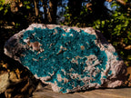 Natural XXL Dioptase Specimen on a Dolomite Matrix x 1 From Likasi, Congo