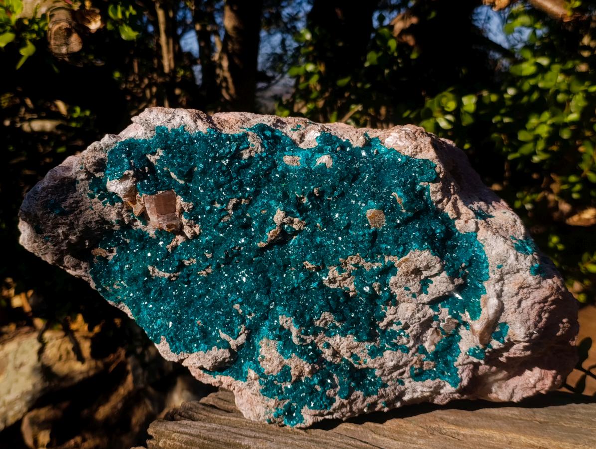 Natural XXL Dioptase Specimen on a Dolomite Matrix x 1 From Likasi, Congo