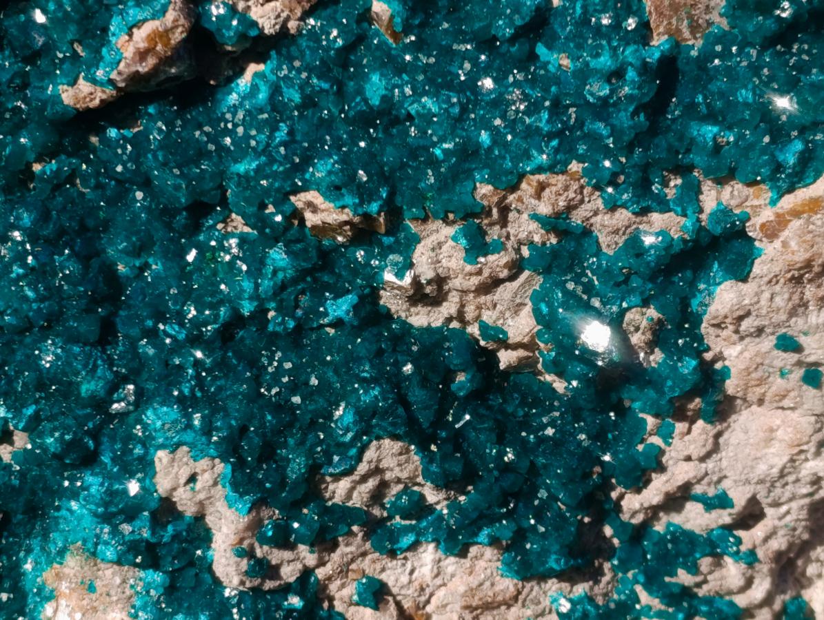 Natural XXL Dioptase Specimen on a Dolomite Matrix x 1 From Likasi, Congo