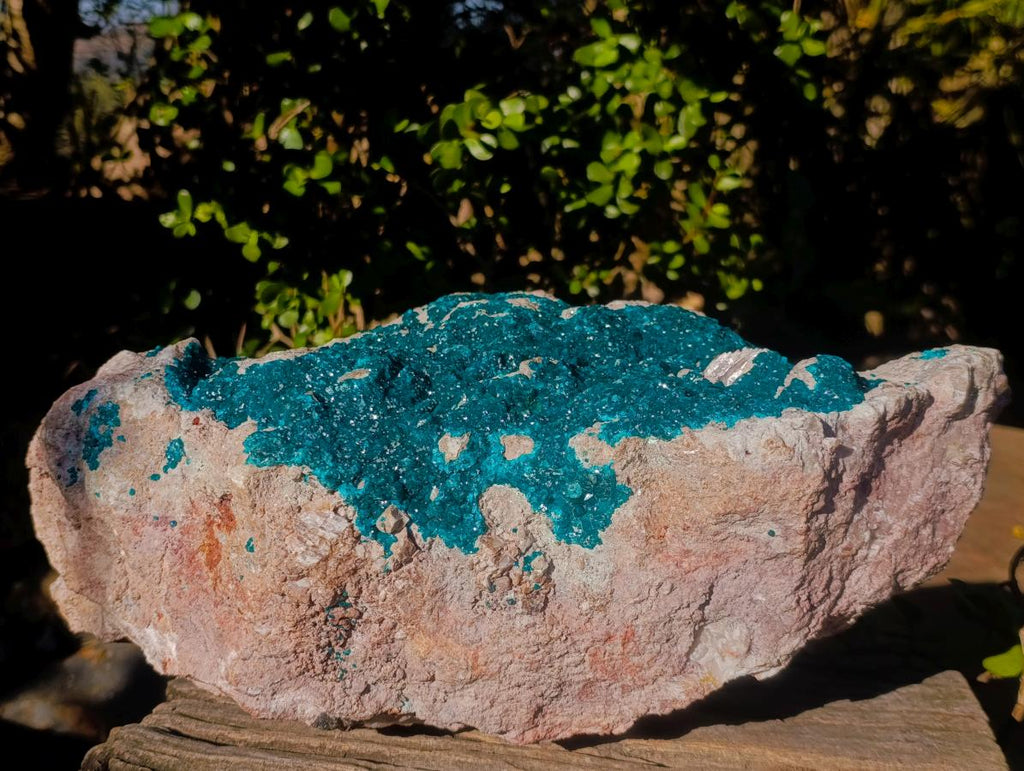 Natural XXL Dioptase Specimen on a Dolomite Matrix x 1 From Likasi, Congo