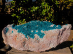 Natural XXL Dioptase Specimen on a Dolomite Matrix x 1 From Likasi, Congo