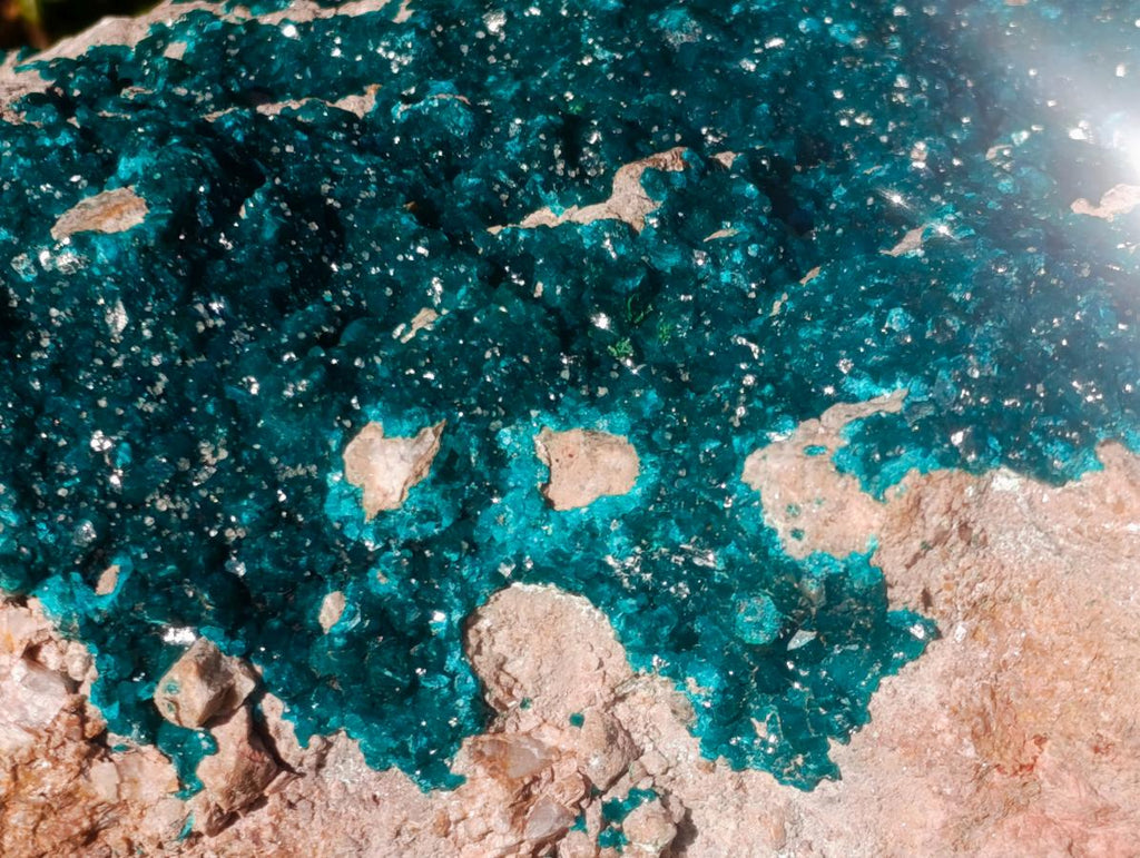 Natural XXL Dioptase Specimen on a Dolomite Matrix x 1 From Likasi, Congo