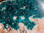 Natural XXL Dioptase Specimen on a Dolomite Matrix x 1 From Likasi, Congo