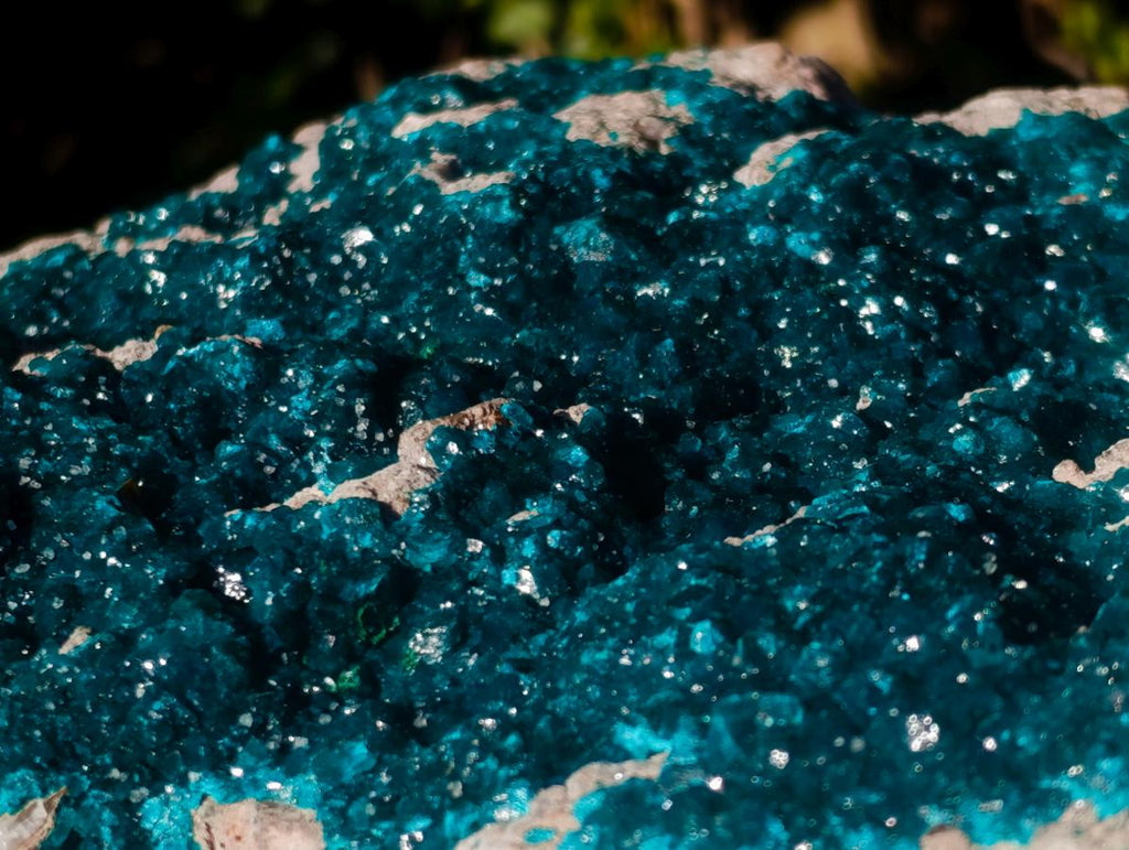 Natural XXL Dioptase Specimen on a Dolomite Matrix x 1 From Likasi, Congo