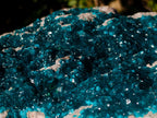 Natural XXL Dioptase Specimen on a Dolomite Matrix x 1 From Likasi, Congo