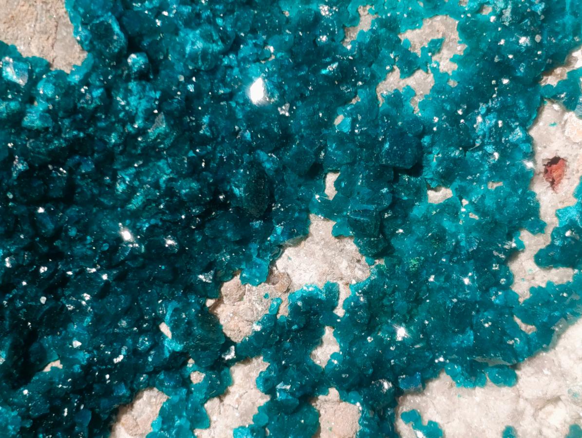 Natural XXL Dioptase Specimen on a Dolomite Matrix x 1 From Likasi, Congo