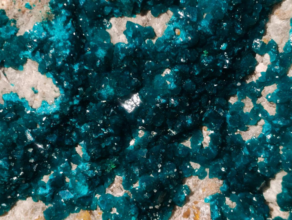 Natural XXL Dioptase Specimen on a Dolomite Matrix x 1 From Likasi, Congo