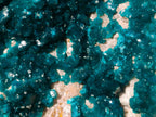 Natural XXL Dioptase Specimen on a Dolomite Matrix x 1 From Likasi, Congo