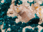 Natural XXL Dioptase Specimen on a Dolomite Matrix x 1 From Likasi, Congo