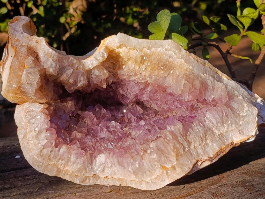 Natural Large Coral Chalcedony Geode with Crystalline Amethyst Centre x 1 From Maintirano, Madagascar