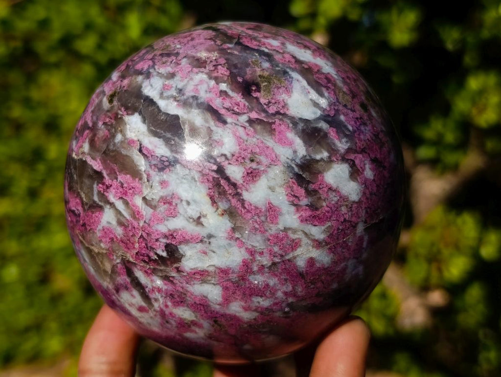 Polished Large Rubellite Pink Tourmaline Sphere in Smokey Quartz and Feldspar Schist x 1 From Madagascar