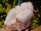 Polished and Natural Large Crystalline Ball Agate Cluster x 1 From Maintirano, Madagascar