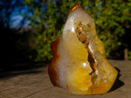Polished Carnelian Agate Gemstone Flame with Natural Vug Cavity x 1 From Madagascar