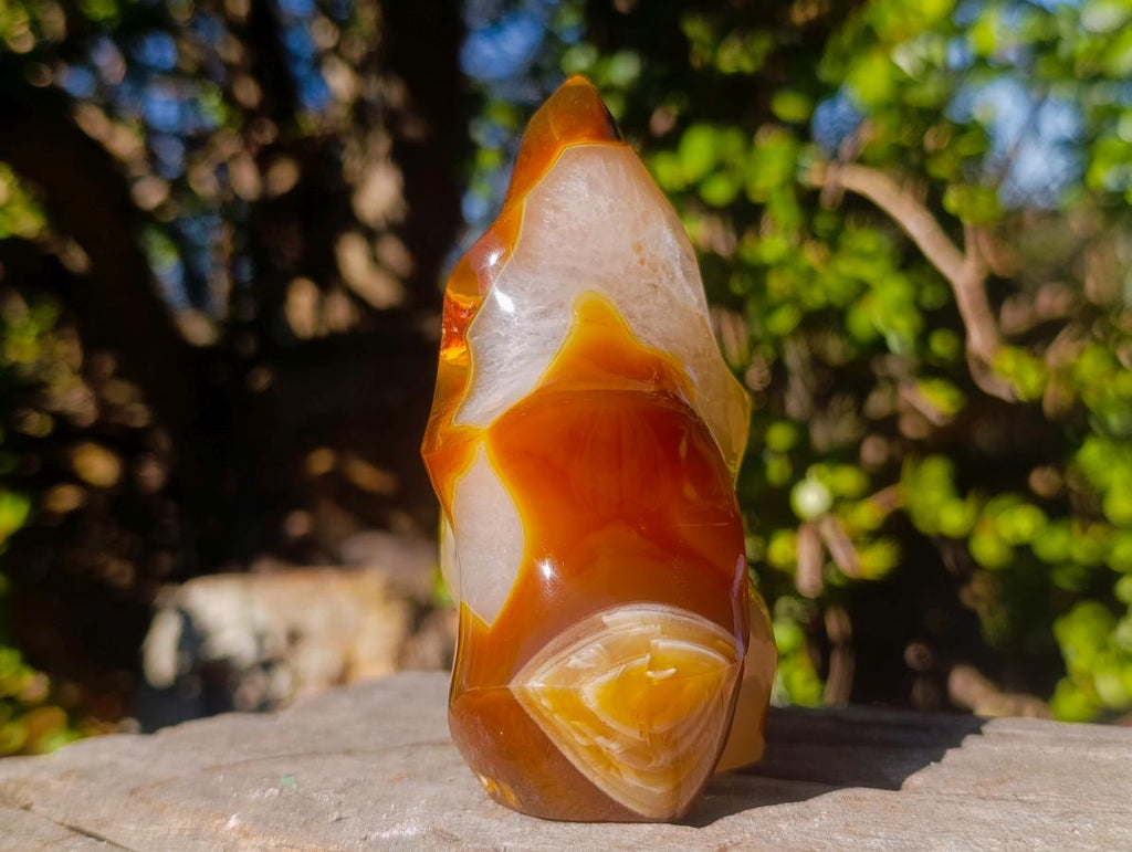 Polished Carnelian Agate Gemstone Flame with Natural Vug Cavity x 1 From Madagascar