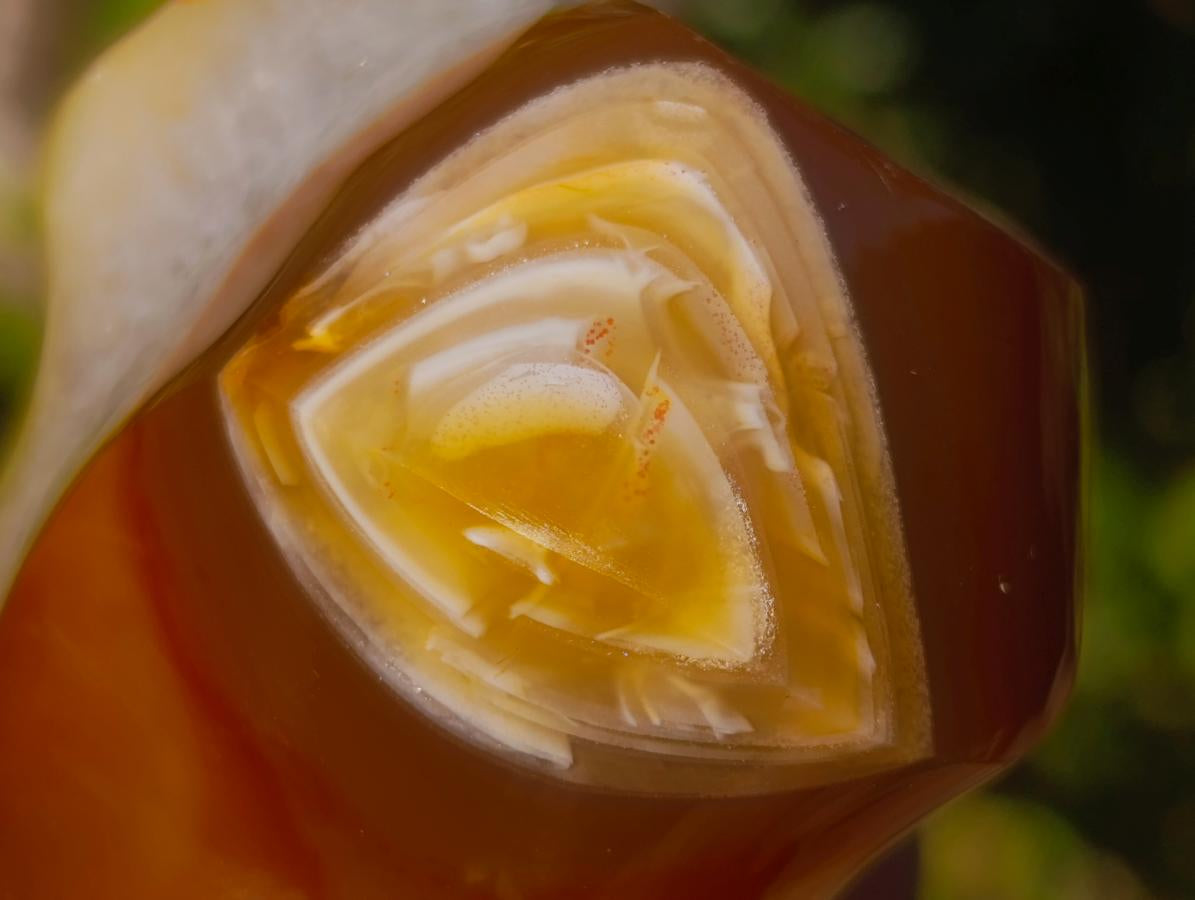 Polished Carnelian Agate Gemstone Flame with Natural Vug Cavity x 1 From Madagascar