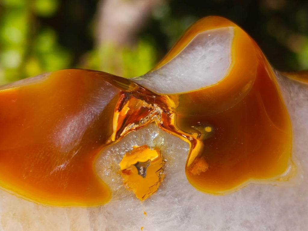 Polished Carnelian Agate Gemstone Flame with Natural Vug Cavity x 1 From Madagascar