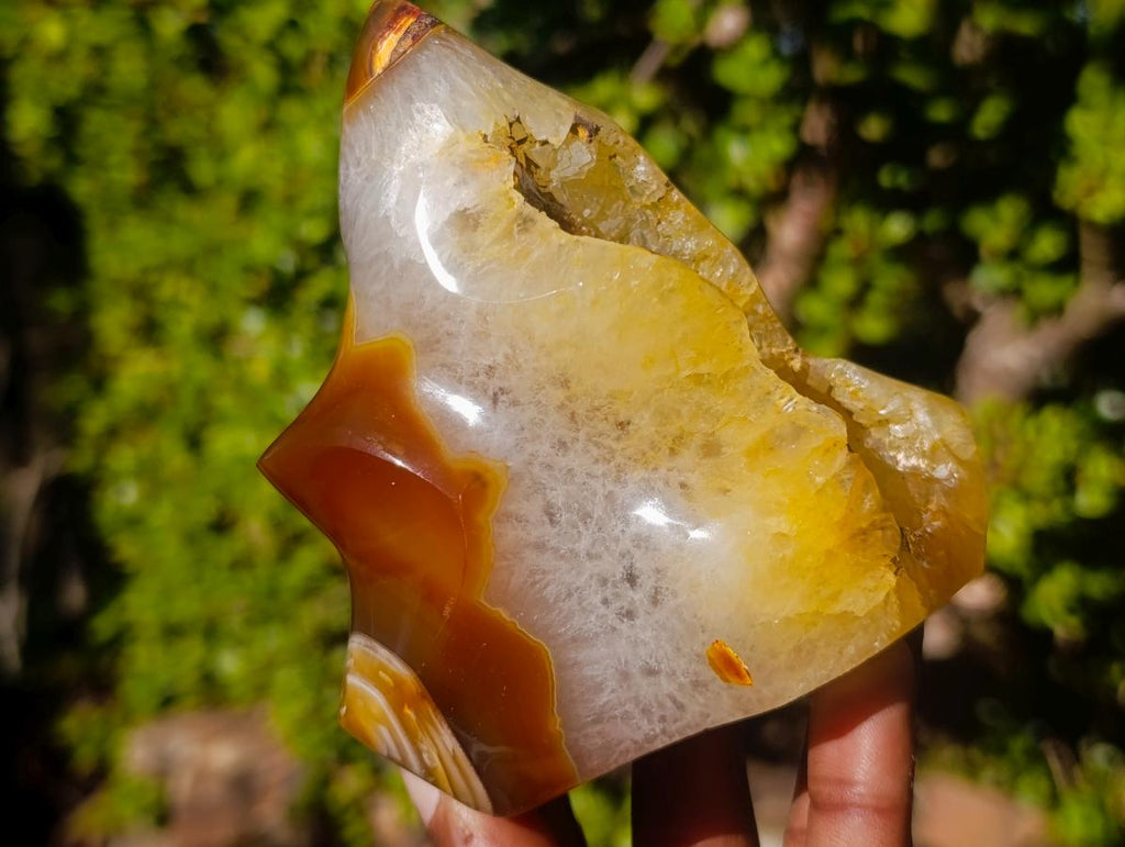 Polished Carnelian Agate Gemstone Flame with Natural Vug Cavity x 1 From Madagascar