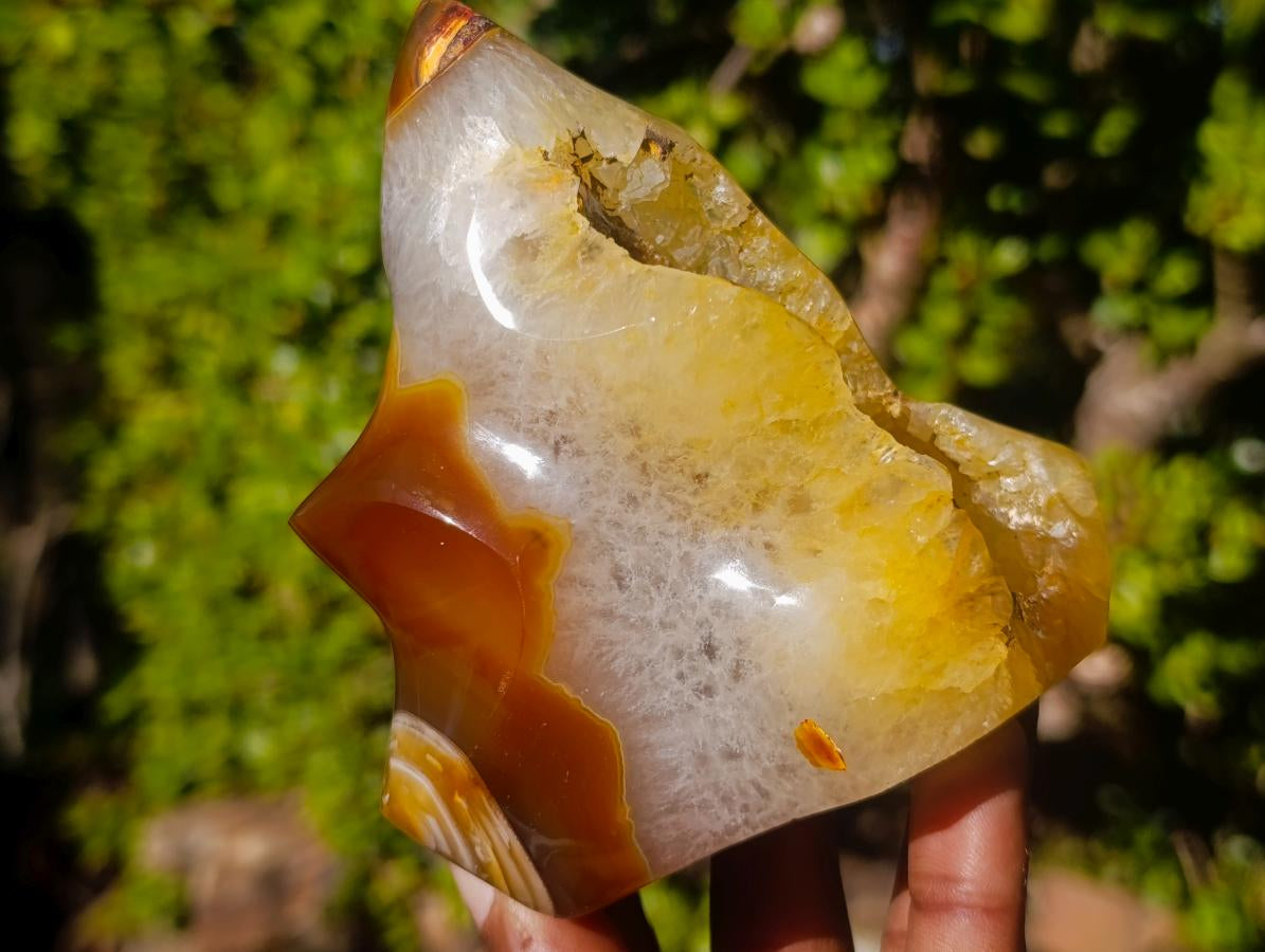 Polished Carnelian Agate Gemstone Flame with Natural Vug Cavity x 1 From Madagascar