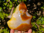 Polished Carnelian Agate Gemstone Flame with Natural Vug Cavity x 1 From Madagascar