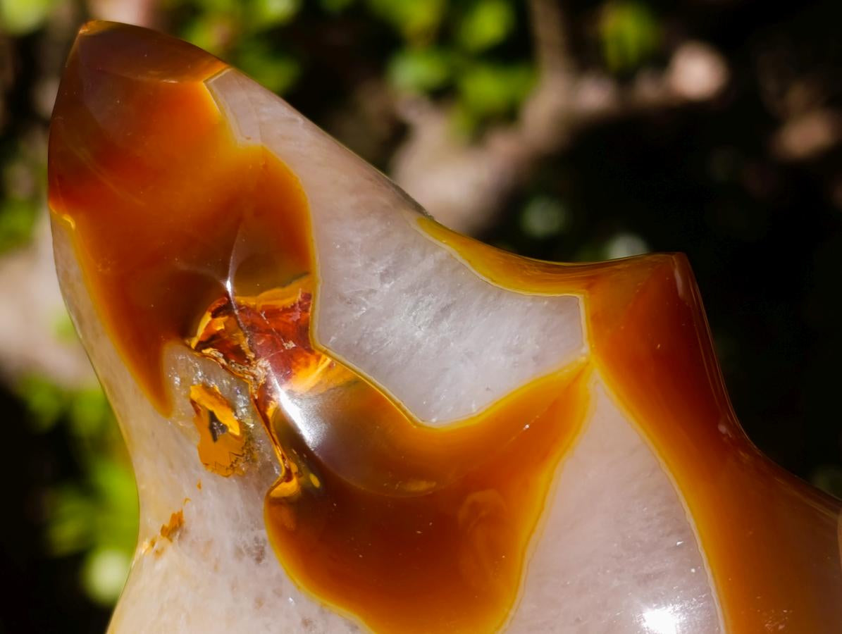 Polished Carnelian Agate Gemstone Flame with Natural Vug Cavity x 1 From Madagascar