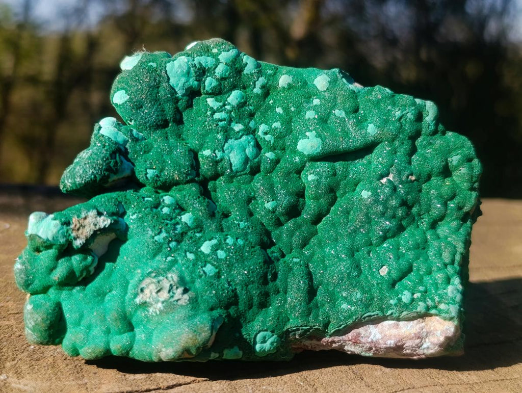 Natural Botryoidal Crystalline Malachite Specimen x 1 From Kolwezi, Congo