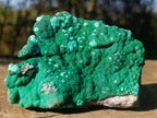 Natural Botryoidal Crystalline Malachite Specimen x 1 From Kolwezi, Congo