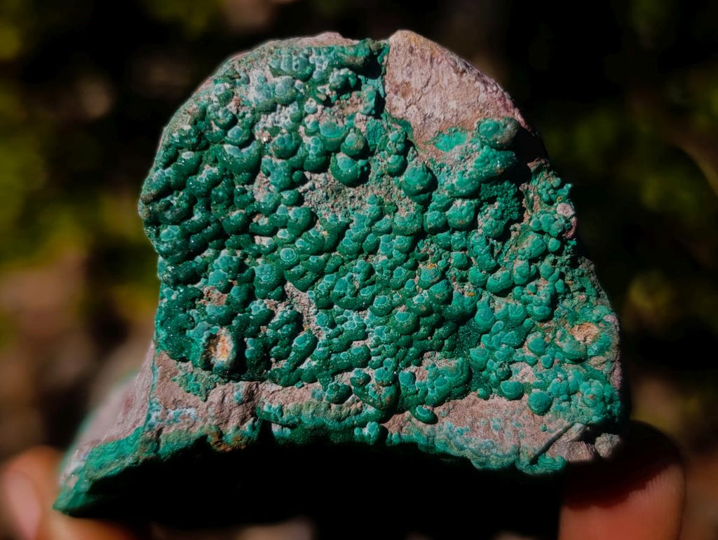 Natural Botryoidal Crystalline Malachite Specimen x 1 From Kolwezi, Congo