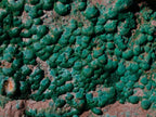 Natural Botryoidal Crystalline Malachite Specimen x 1 From Kolwezi, Congo