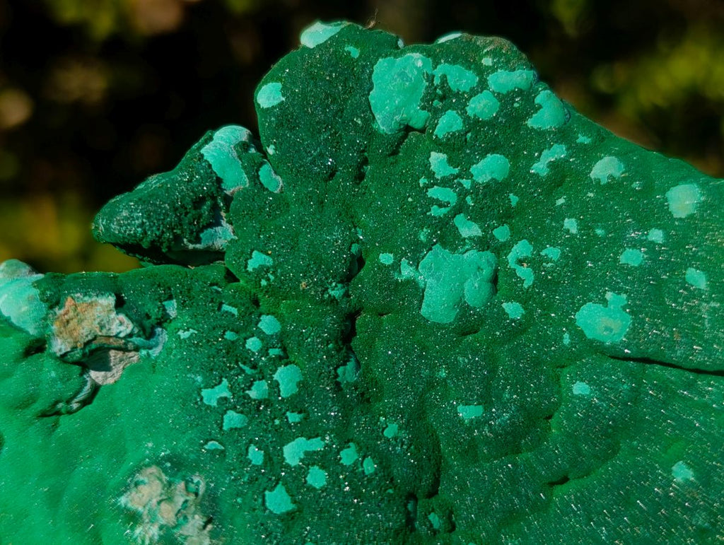 Natural Botryoidal Crystalline Malachite Specimen x 1 From Kolwezi, Congo