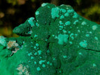 Natural Botryoidal Crystalline Malachite Specimen x 1 From Kolwezi, Congo