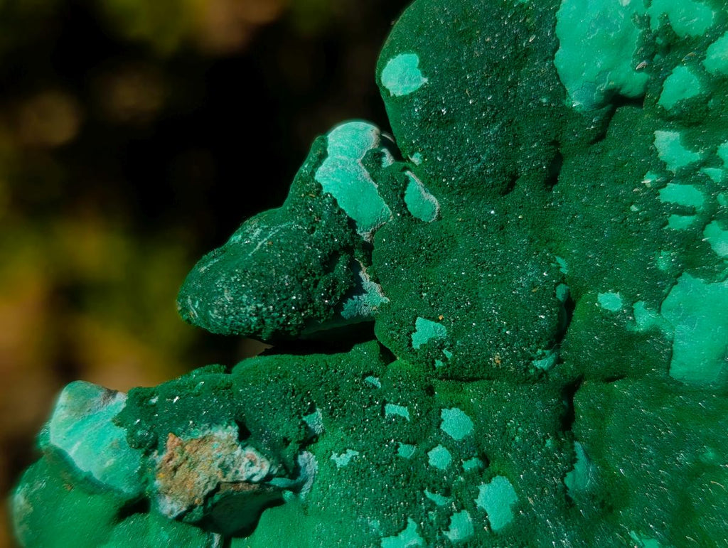 Natural Botryoidal Crystalline Malachite Specimen x 1 From Kolwezi, Congo