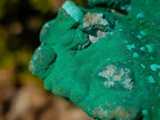 Natural Botryoidal Crystalline Malachite Specimen x 1 From Kolwezi, Congo