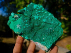 Natural Botryoidal Crystalline Malachite Specimen x 1 From Kolwezi, Congo