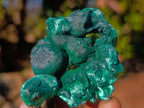 Natural and Polished Mix of African Gemstones and Specimens in a Wooden Display Set of 12 x 1 From Southern Africa