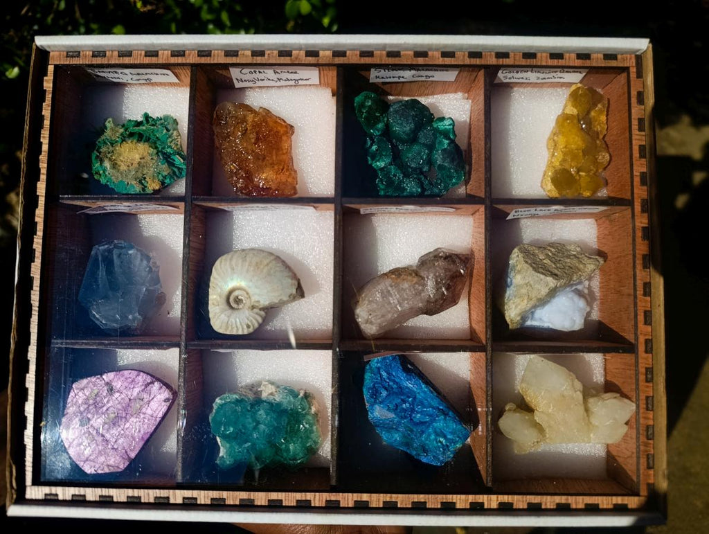 Natural and Polished Mix of African Gemstones and Specimens in a Wooden Display Set of 12 x 1 From Southern Africa