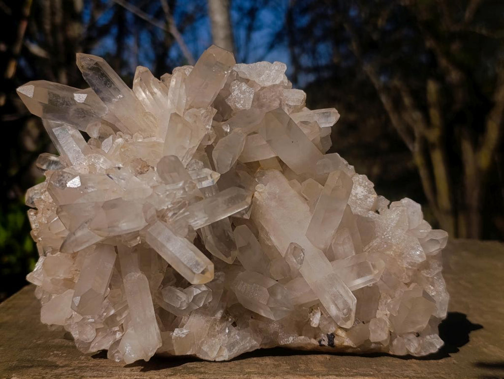 Natural Large Clear Malagasy Multi-Terminated Quartz Crystal Cluster x 1 From Ambatofinandrahana, Madagascar