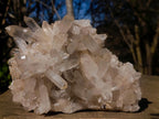 Natural Large Clear Malagasy Multi-Terminated Quartz Crystal Cluster x 1 From Ambatofinandrahana, Madagascar