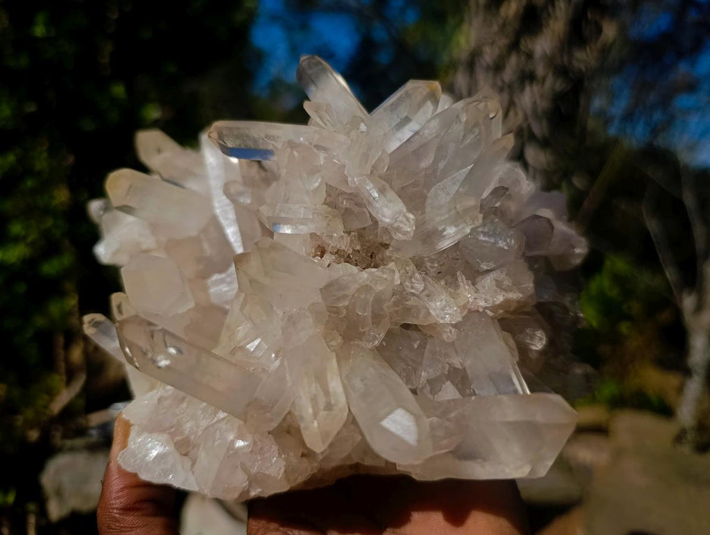Natural Large Clear Malagasy Multi-Terminated Quartz Crystal Cluster x 1 From Ambatofinandrahana, Madagascar