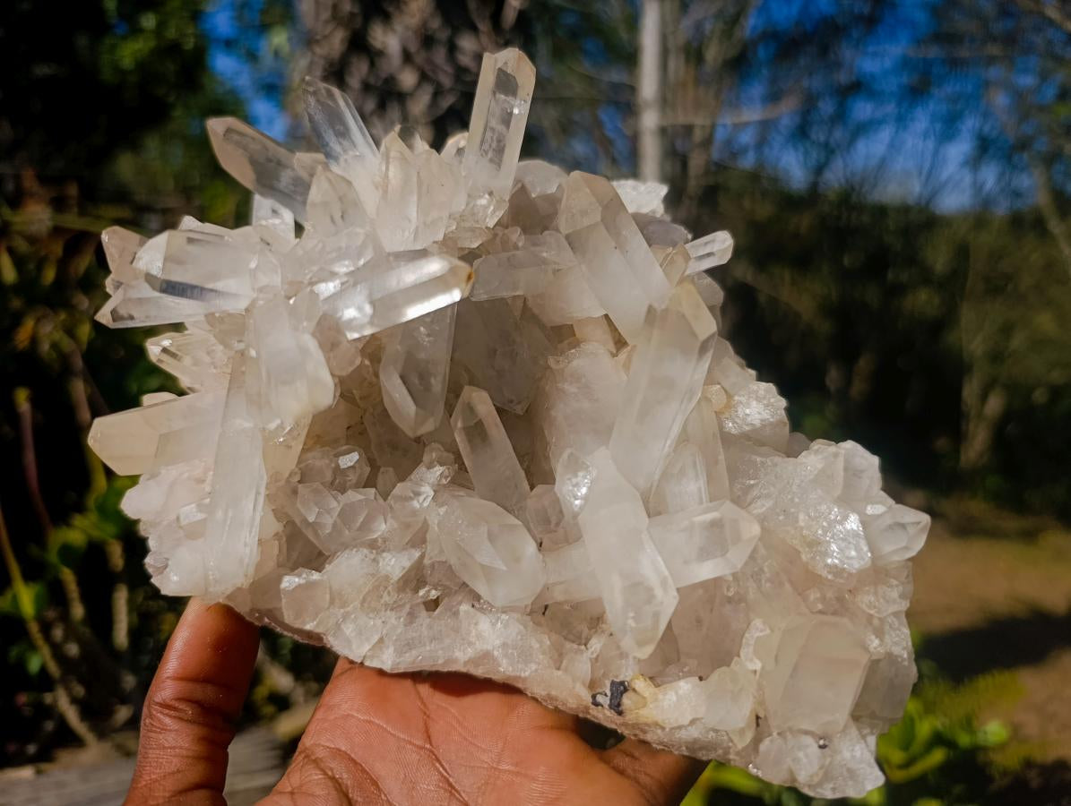 Natural Large Clear Malagasy Multi-Terminated Quartz Crystal Cluster x 1 From Ambatofinandrahana, Madagascar