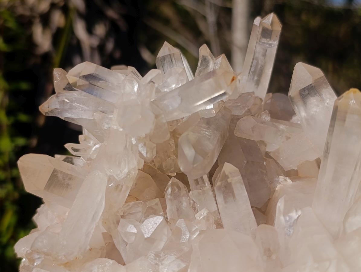 Natural Large Clear Malagasy Multi-Terminated Quartz Crystal Cluster x 1 From Ambatofinandrahana, Madagascar