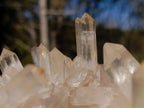 Natural Large Clear Malagasy Multi-Terminated Quartz Crystal Cluster x 1 From Ambatofinandrahana, Madagascar