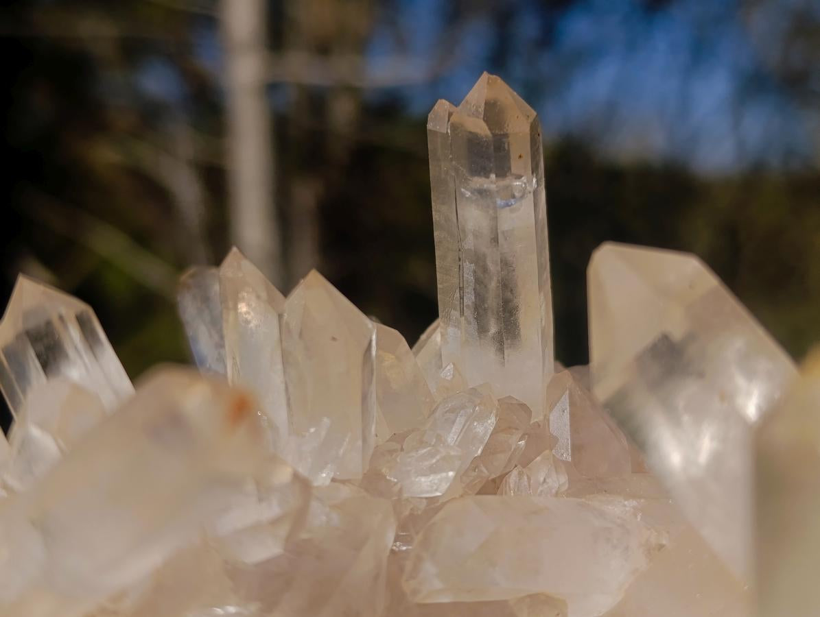 Natural Large Clear Malagasy Multi-Terminated Quartz Crystal Cluster x 1 From Ambatofinandrahana, Madagascar