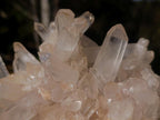 Natural Large Clear Malagasy Multi-Terminated Quartz Crystal Cluster x 1 From Ambatofinandrahana, Madagascar