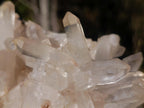 Natural Large Clear Malagasy Multi-Terminated Quartz Crystal Cluster x 1 From Ambatofinandrahana, Madagascar