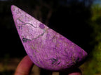 Polished and Natural Silky Metallic Purpurite Free Form x 1 From Erongo, Namibia