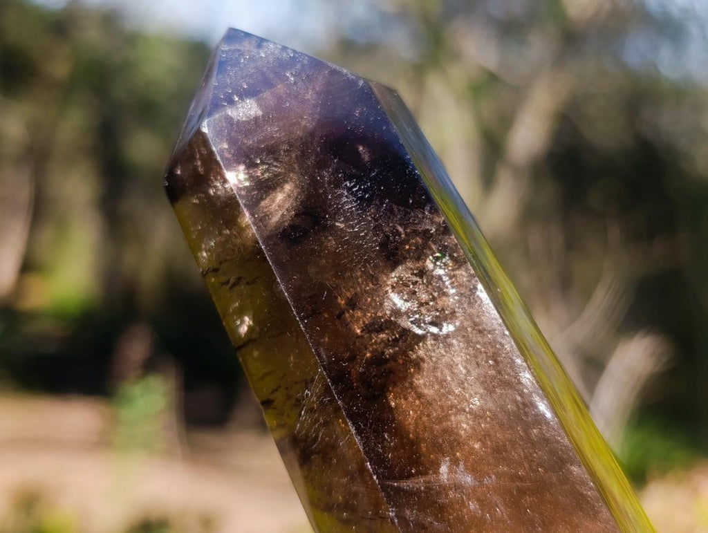 Polished Smokey Quartz Display Crystal x 1 From Anjozorobe, Madagascar