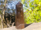 Polished Smokey Quartz Display Crystal x 1 From Anjozorobe, Madagascar