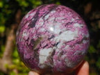 Polished Rubellite Pink Tourmaline Sphere with Wooden Stand x 1 From Madagascar